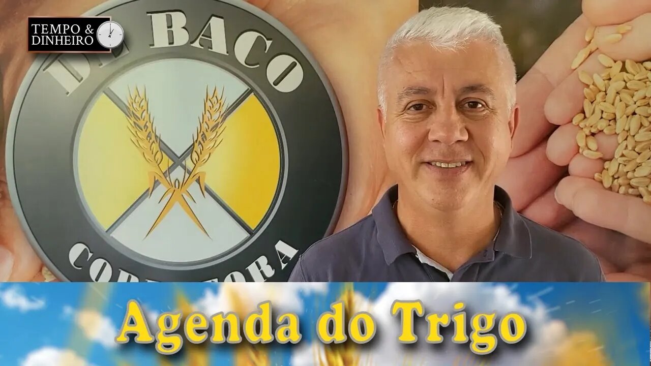 A oferta russa dá a direção do mercado...