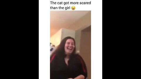 PLAYING CAT VIDEO MEAWWW