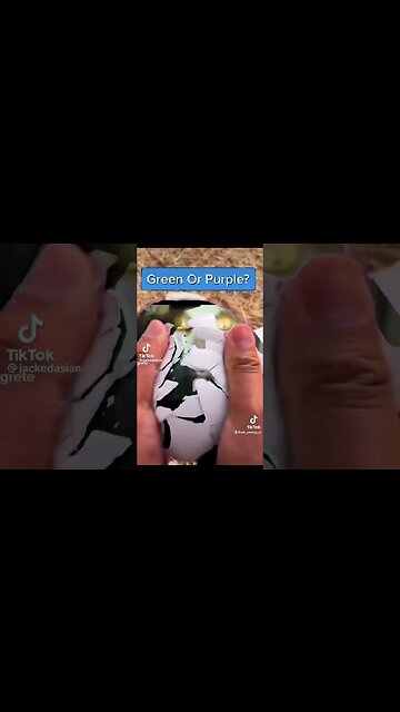 Monday Left Me Broken #mondayleftmebroken #video #catshorts #viral