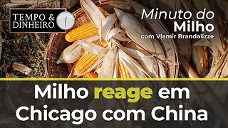 Milho reage em Chicago com China