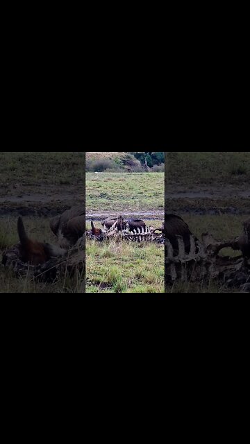 Cleanup Crew... #shorts | #ShortsAfrica