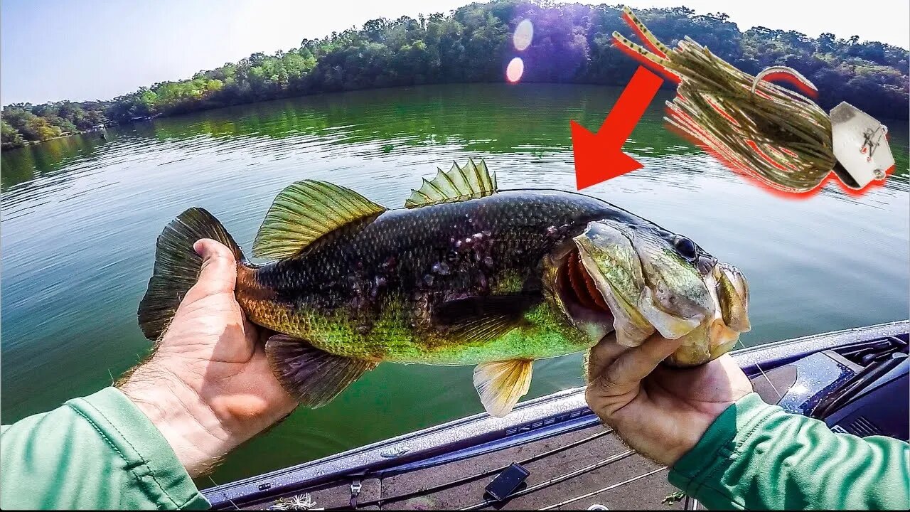 How to Catch MORE Bass on a Chatterbait! - Fall Bass Fishing