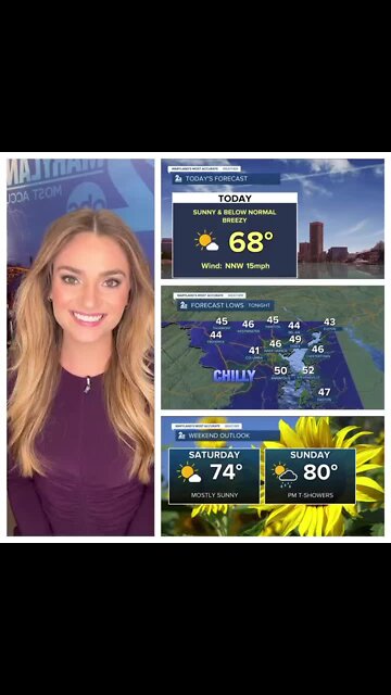 Stevie's Scoop: Sunny & Cooler