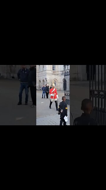 Boy stops just in time #horseguardsparade