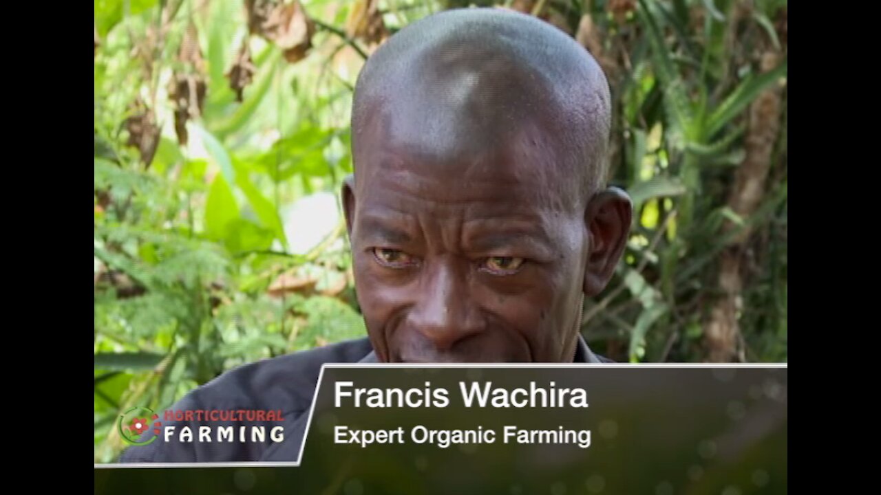 He does organic farming and still gets maximum output - Horticulture