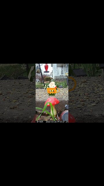 A Nice Warm Cup Of Hot Chocolate Visits #Shorts ☕