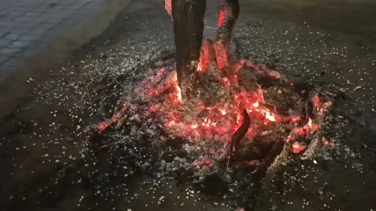 Holika Dahan 2023 Happy Holi
