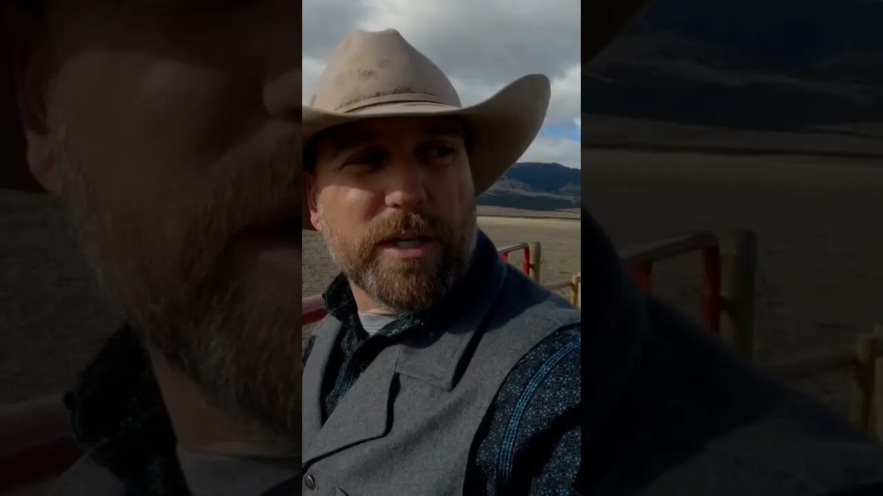 Horses act Stupid in the Wind