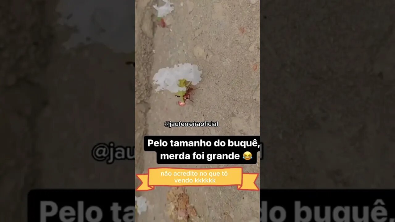 quando vi esse vídeos nao parei de rir até agora