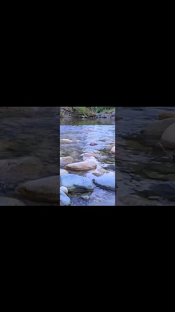 let the calmness of the Englishman River help you relax from the day. #nature #relax