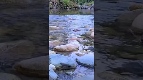 let the calmness of the Englishman River help you relax from the day. #nature #relax