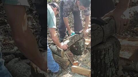 Loving this 6 inch chainsaw#camping #naturephotography #firewood #woods