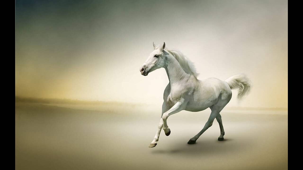 Age of Grace End of Age: The White Rider PT2