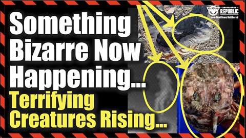 Something Bizarre Now Happening…Terrifying Creatures Rising Up…
