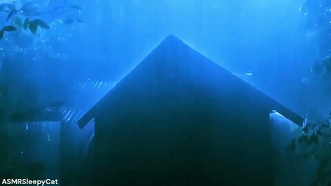 💤Relieve Insomnia with Heavy Rainfall︱Deep SLEEP, Relieve Stress, Meditate⚡🌧