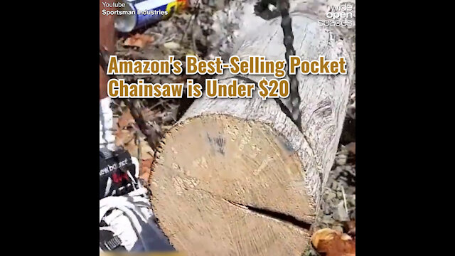 Amazon's Best-Selling Pocket Chainsaw is Under $20