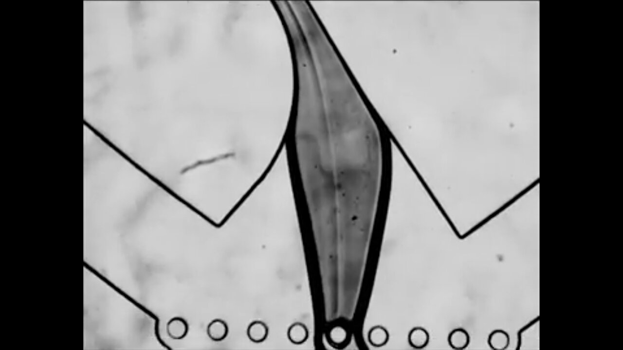 Versatile Microfluidic Device For High Throughput Of Microparticles And Cell Microencapsulation