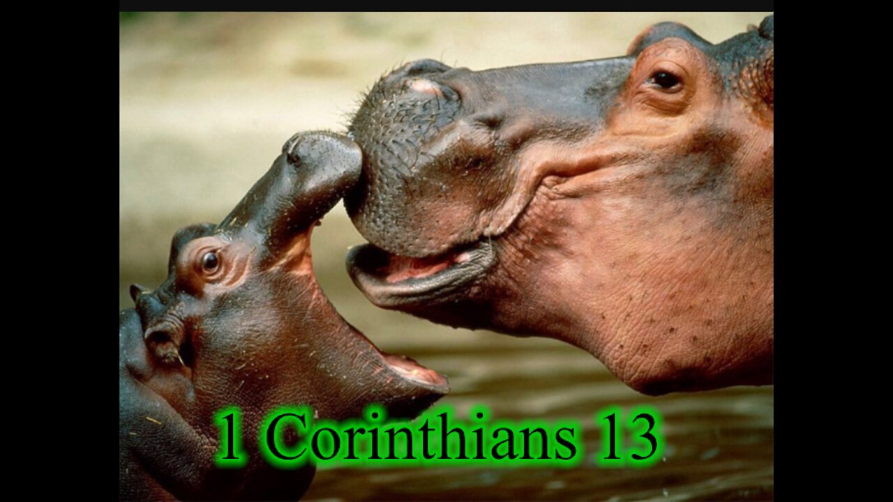 Read the Bible with me. 1 Corinthians 13 (NCV)