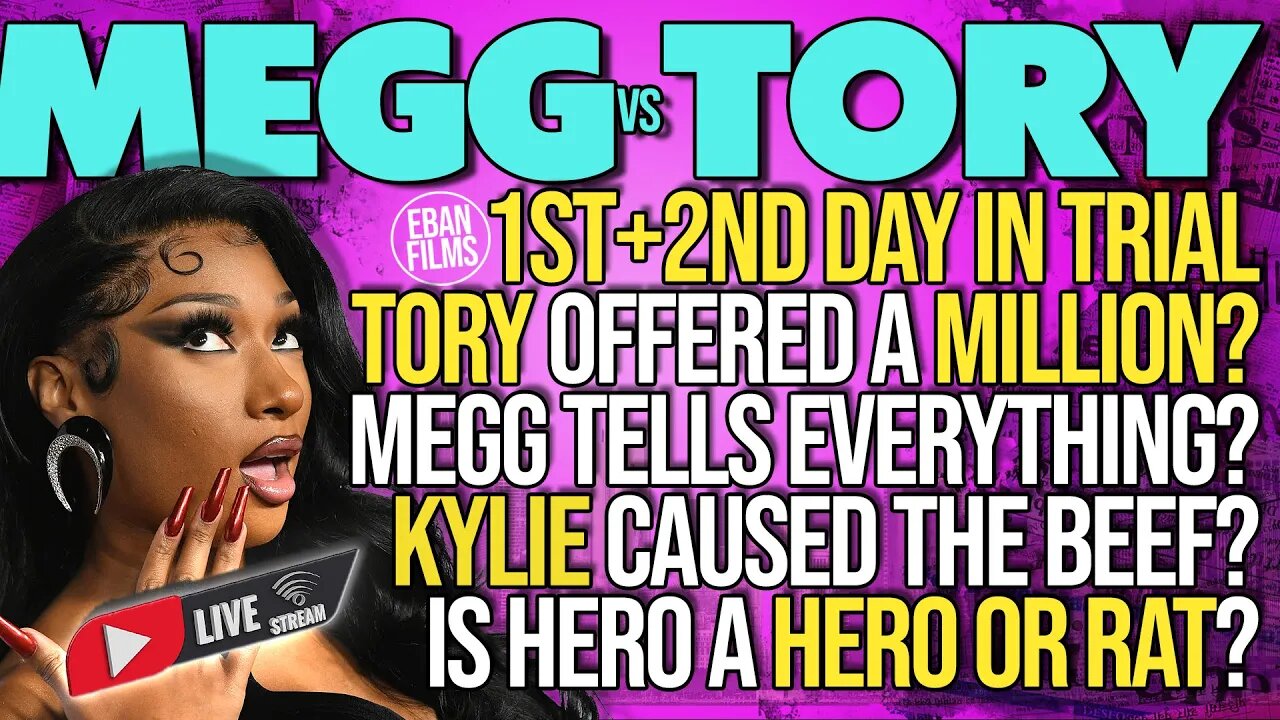 Megan Thee Stallion vs Tory Lanez Court Case is all FAKE