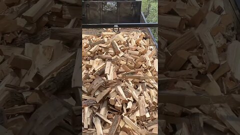 A Big Dump of Splits #firewood #wood #dump