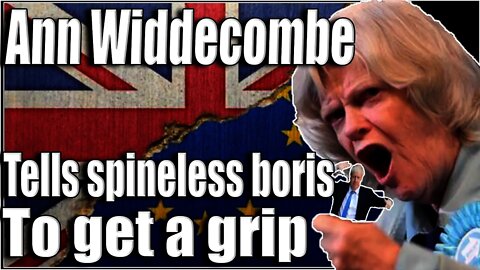 Ann Widdecombe hits boris with a major truth bomb