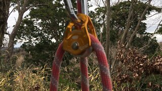 Tree climbing