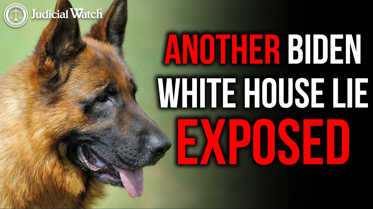 FITTON: White House Lied About Biden's Dog Biting Secret Service Agents!