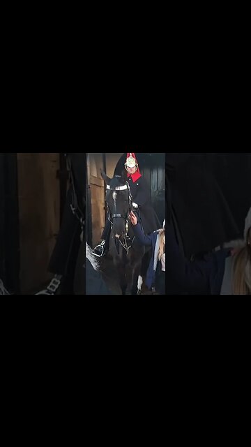 The Horse nudges her in the face #horseguardsparade