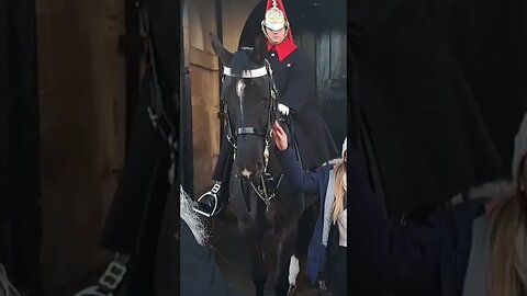 The Horse nudges her in the face #horseguardsparade