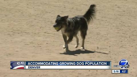 Denver wants to update dog park plans and needs your help