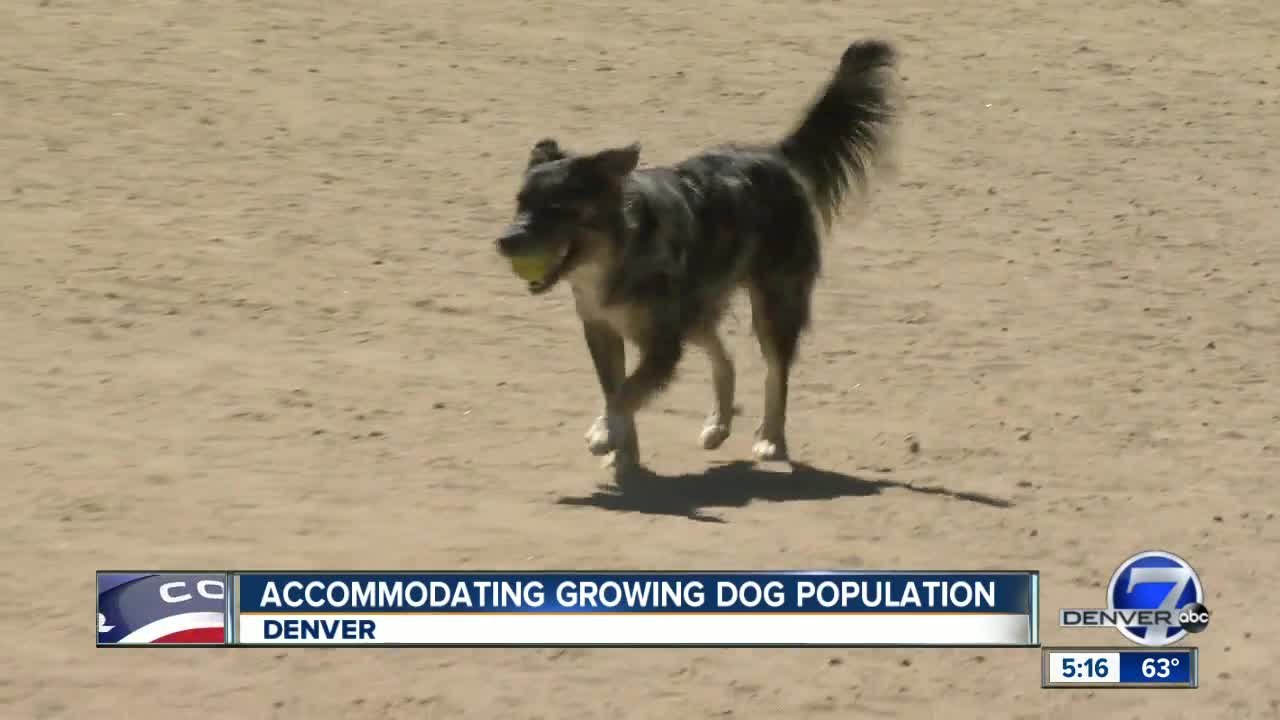 Denver wants to update dog park plans and needs your help