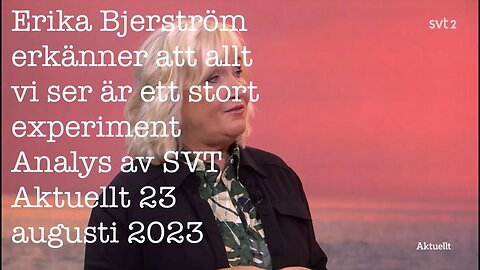 Erika Bjerström erkänner att det vi ser är ett experiment Analys SVT Aktuellt 23 augusti 2023