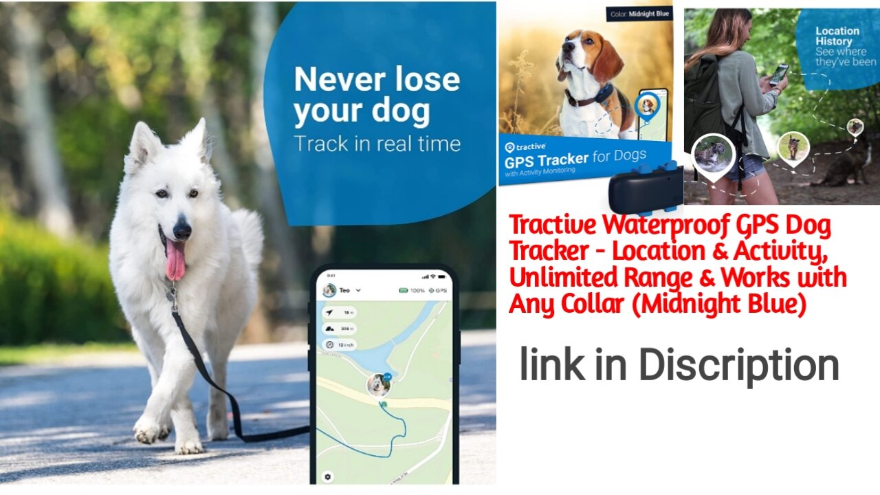 Tractive Waterproof GPS Dog Tracker - Location & Activity, Unlimited Range & Works with Any