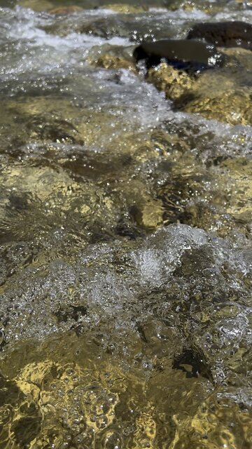 The rushing waters of Walker River