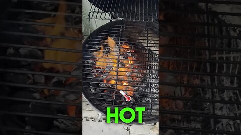 #Surf and #Turf in the #GrillZebo #rainonatinroof #food #foodshorts #grill