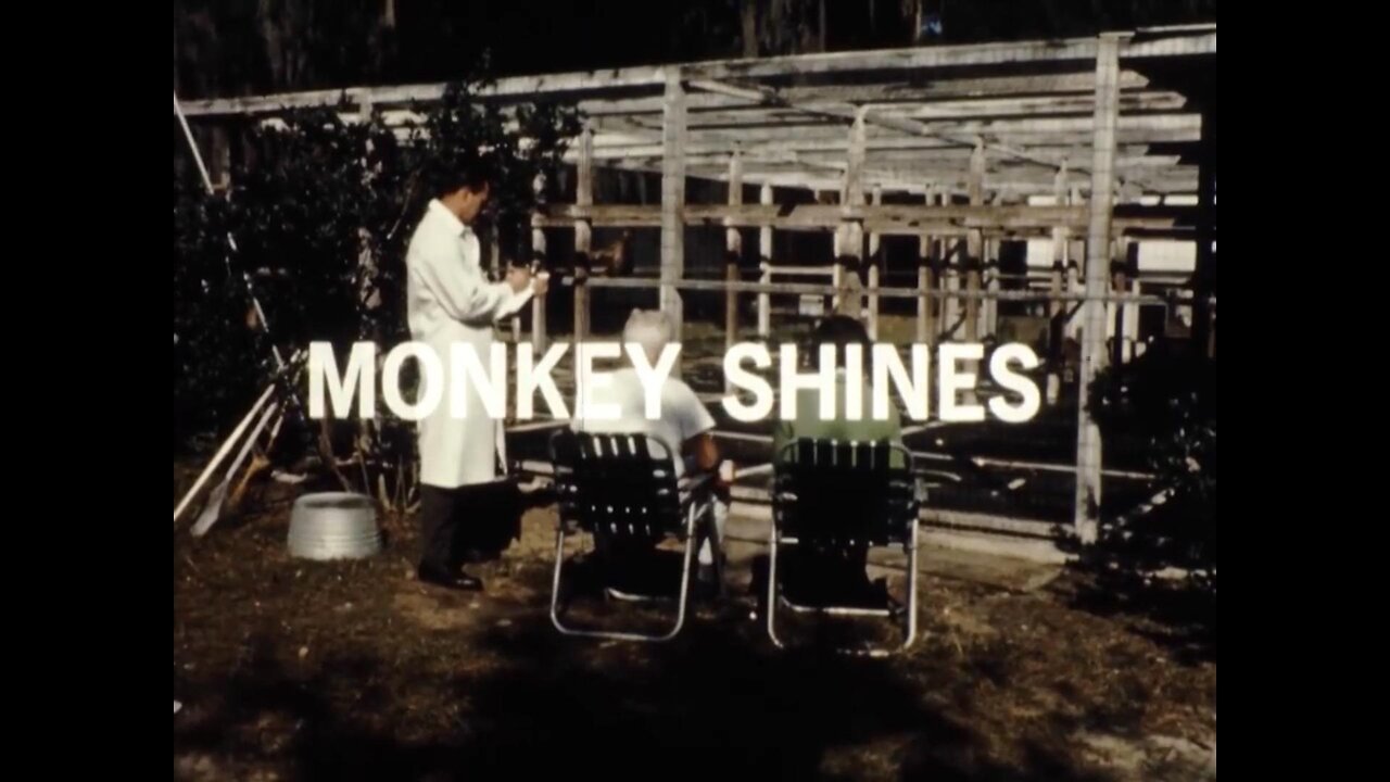 Mutual of Omaha's Wild Kingdom - "Monkey Shines"