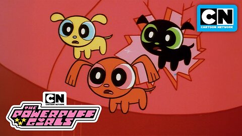 Powerpuff Pooches! | The Powerpuff Girls Classic | Cartoon Network (Reupload)