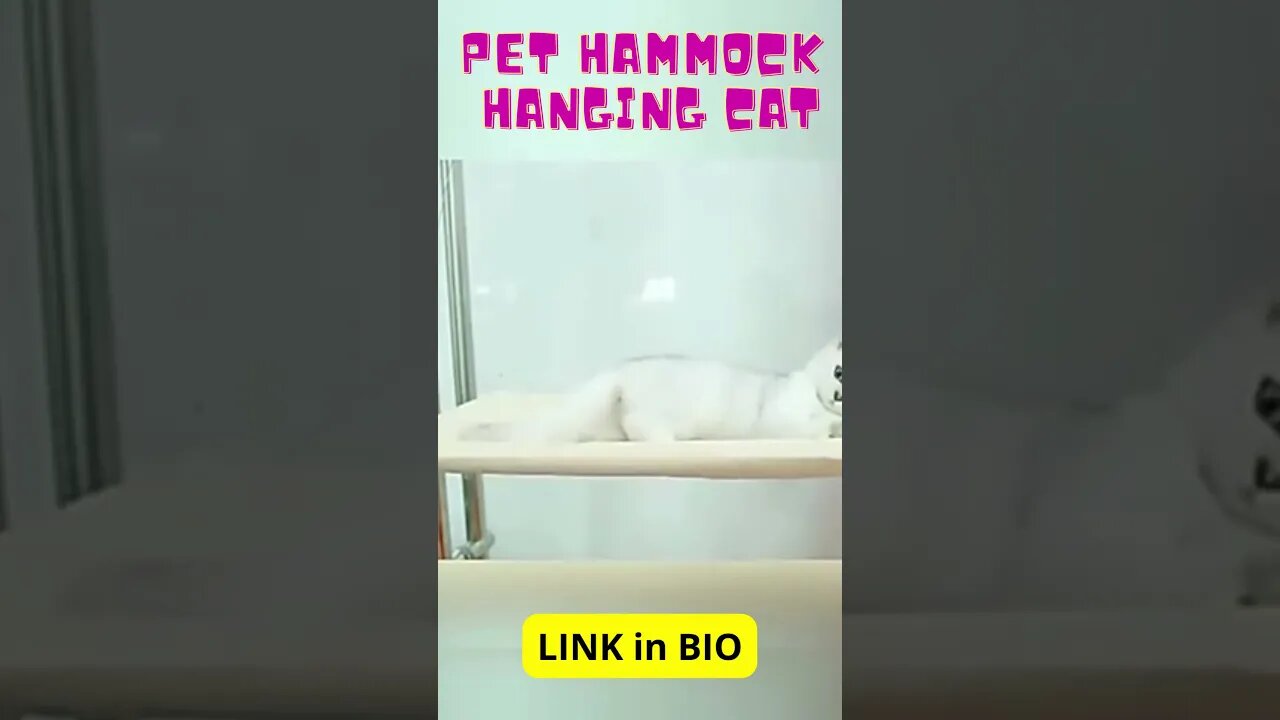 Pet Hammock Hanging Cat