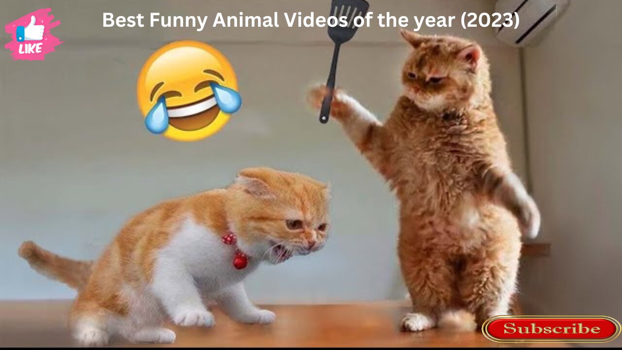 Best Funny Animal Videos of the year (2023) Part 1