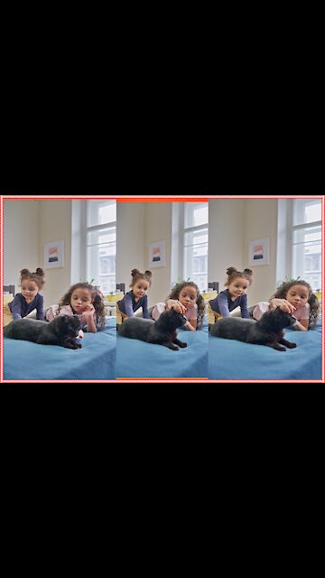 cat black||two babby||car sleeping||cat in the bad