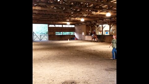 J's Beginning Horse Lesson