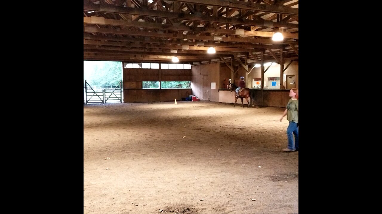 J's Beginning Horse Lesson