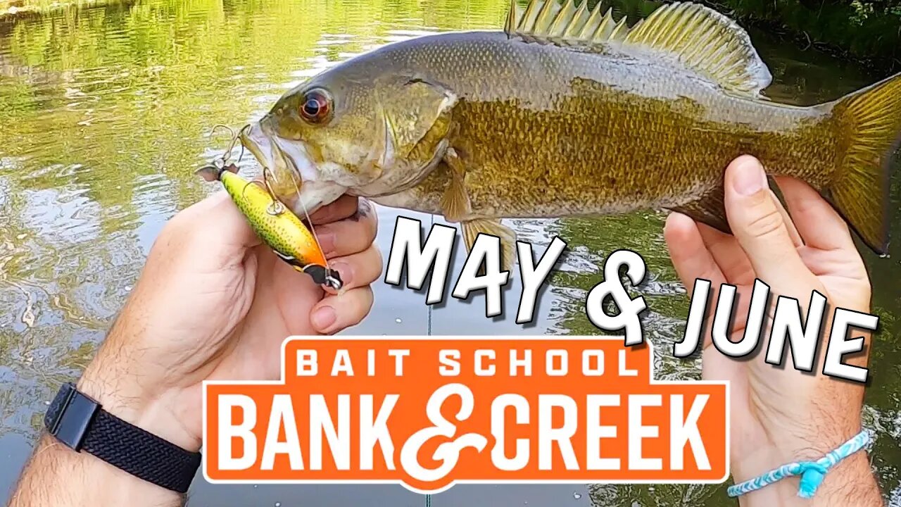 The first ever Lurenet Bank & Creek Kit SLAM!!!! ( It's topwater season!! )