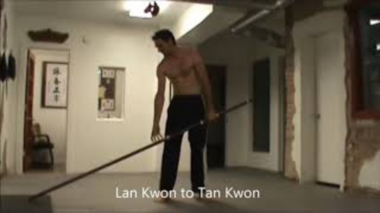 Wing Chun Iron Pole Work Out