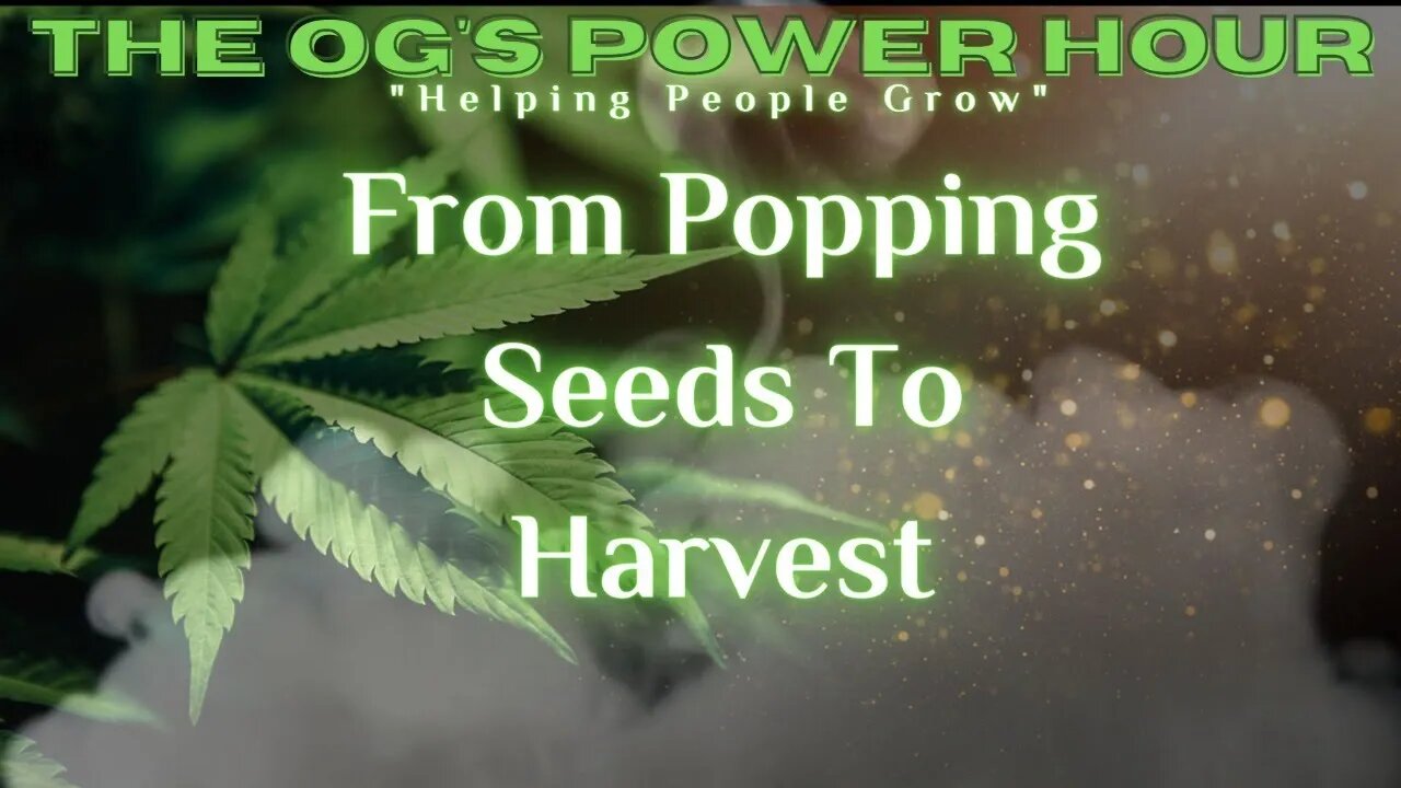 From Popping Seeds To Harvest