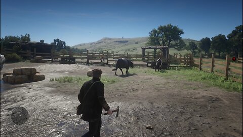 RDR2 - Killing all animals in farm