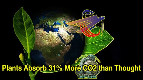 Plants Absorb 31% More CO2 than Thought