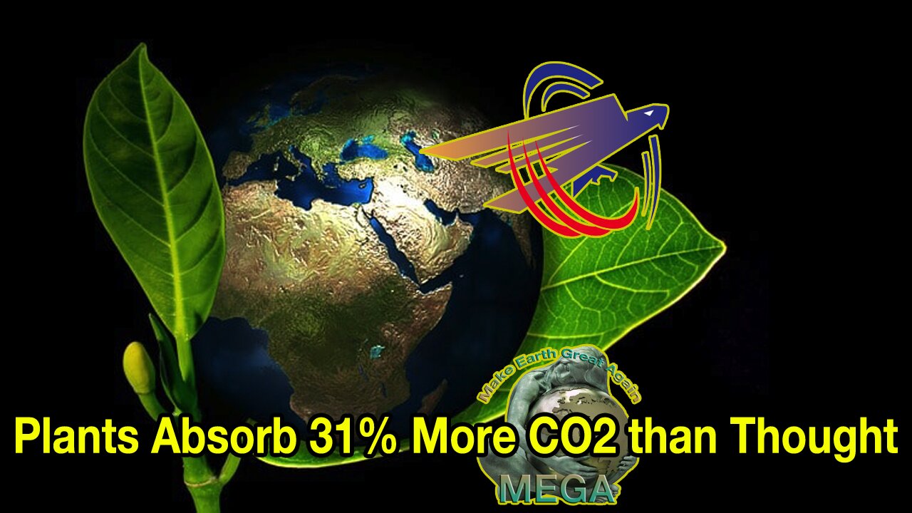 Plants Absorb 31% More CO2 than Thought