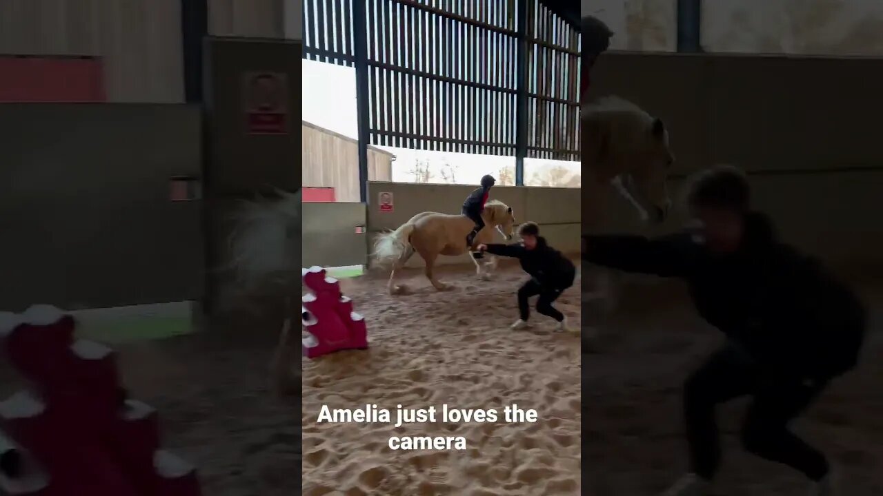 Amelia makes me laugh she loves the camera #horse #fyp #bareback #jumping #film #horseriding #viral