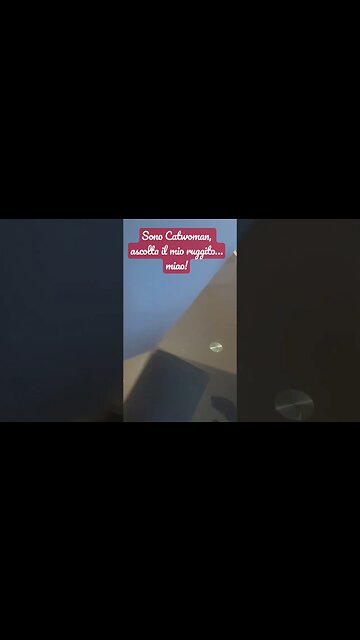 Regalo! #unastanzatuttaperme #giochidiruolo #film #batman #catwoman #regalo #fumetti #dccomics